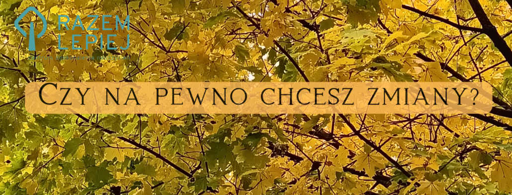 szkolenia dla nauczycieli, szkolenie dla nauczycieli, kursy doskonalenia nauczycieli,, wewnątrzszkolne doskonalenie nauczycieli, ocenianie kształtujące, szkolenia nauczycieli, centrum doskonalenia nauczycieli, centrum kształcenia nauczycieli